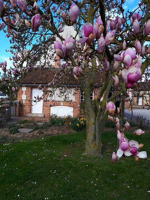 le printemps balaye l'hiver