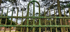Freitagszaun