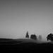 Morgennebel