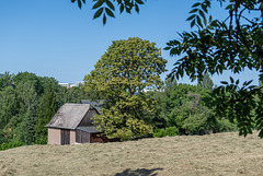 171-365, Sommer im Heckert-Gebiet