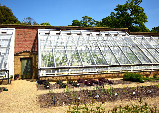 Victorian Glasshouses ~ Holkham Hall