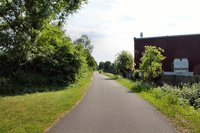 Radweg auf der ehem. Kray-Wanner-Bahn (Gelsenkirchen-Ückendorf) / 21.05.2018