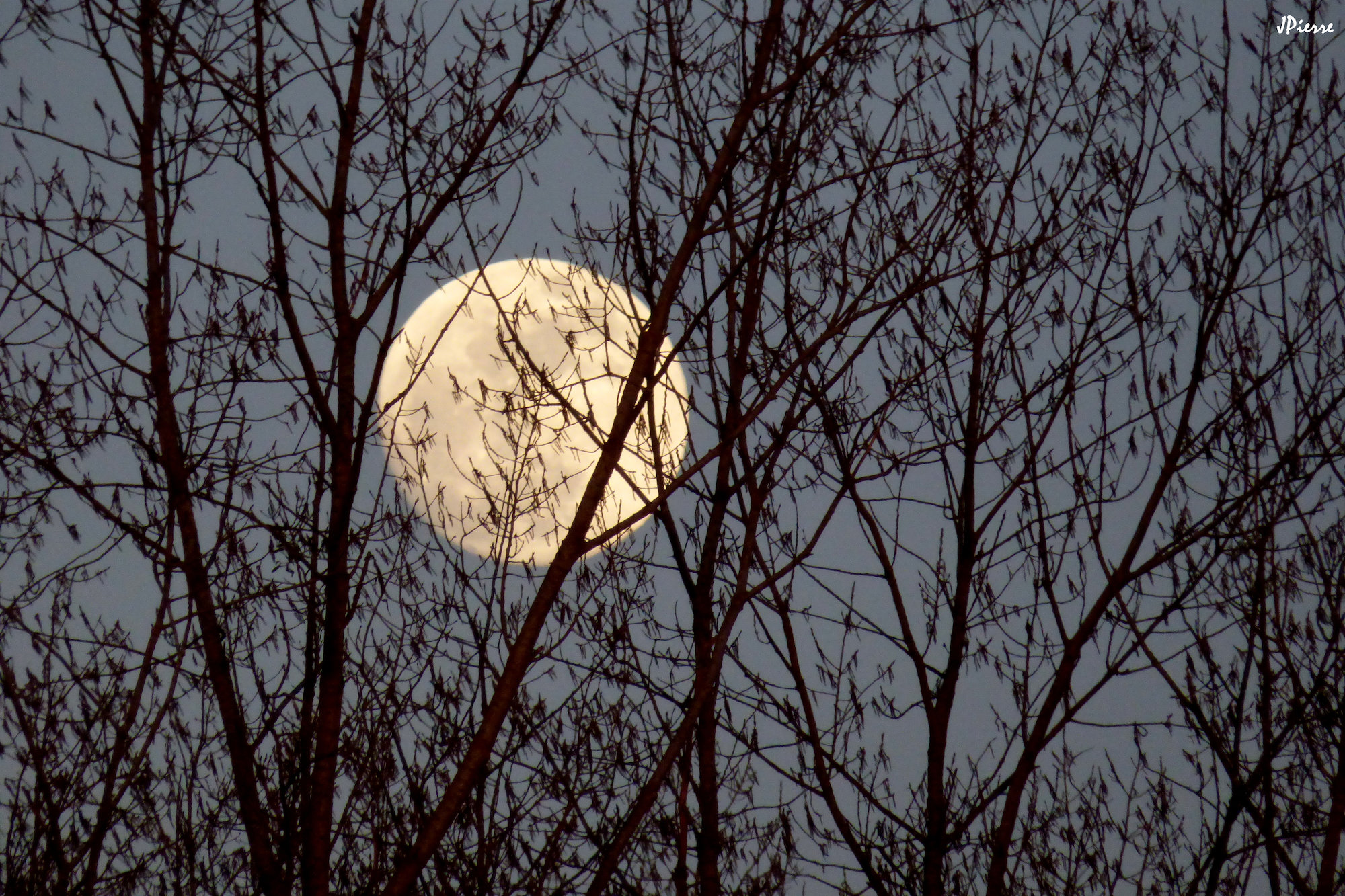 Pleine lune