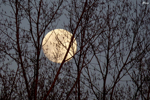 Pleine lune