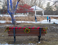 Skating on the pond