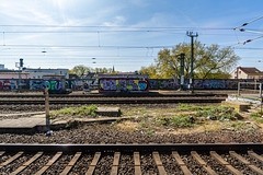 Köln - Fahrt mit dem historischen Schienenbus