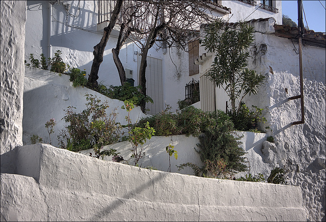 Gaucín
