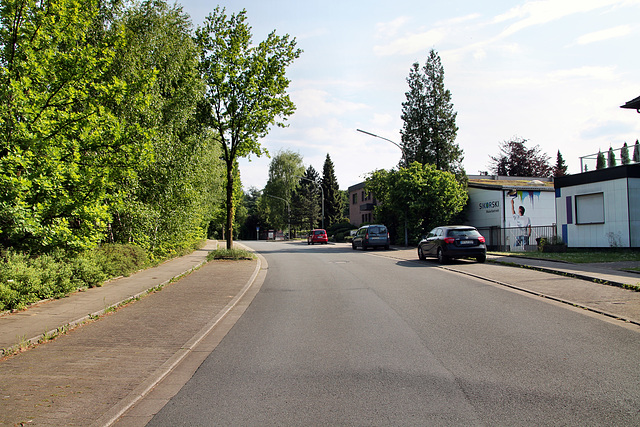 Am Luftschacht (Gelsenkirchen-Ückendorf) / 21.05.2018