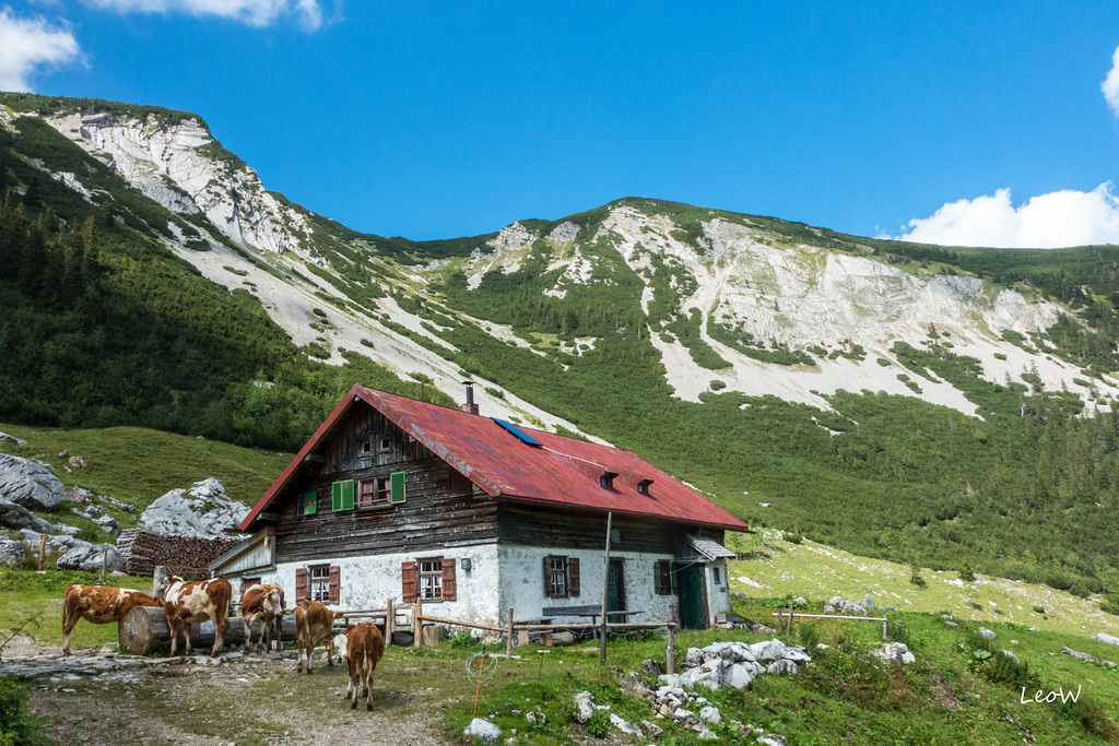 Großtiefenbachalm (1500 m)