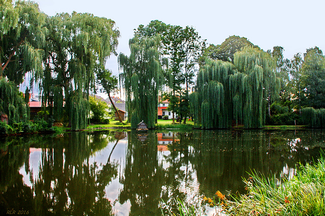 Freyenstein, Mühlenteich