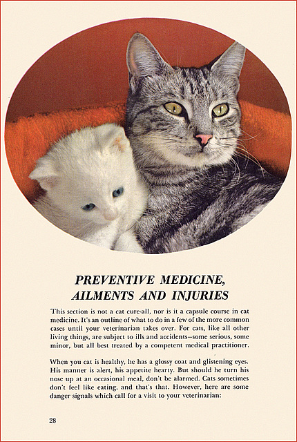 Kittens and Cats (12), 1957