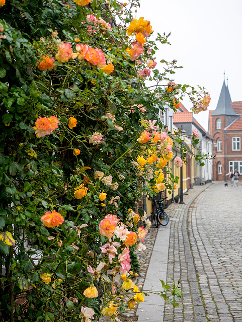 Street in Ribe, Denmark