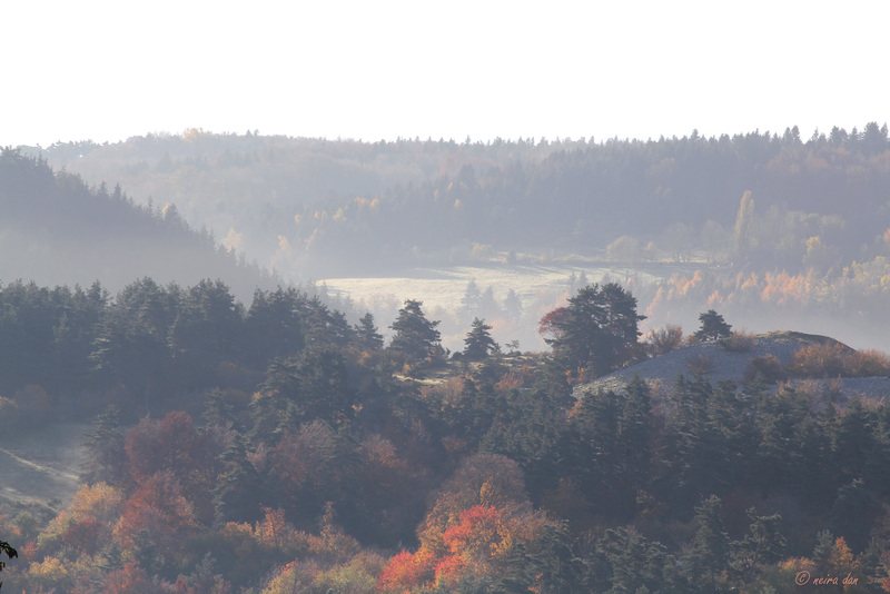 Le temps des brouillards