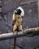 Tierpark Straubing