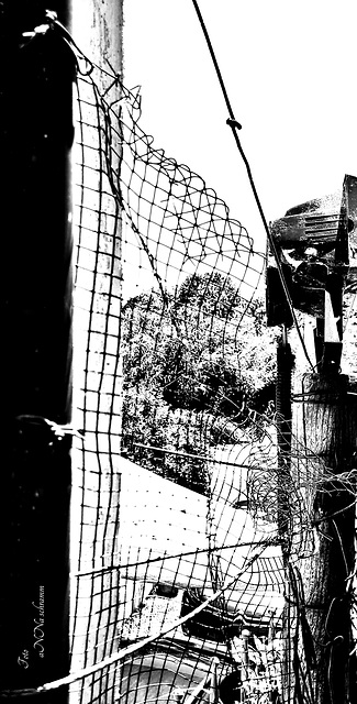 Zaun desolat
