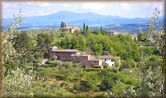 San Gimignano (I) 20 mai 2011. La campagne toscane environnante.