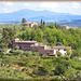 San Gimignano (I) 20 mai 2011. La campagne toscane environnante.