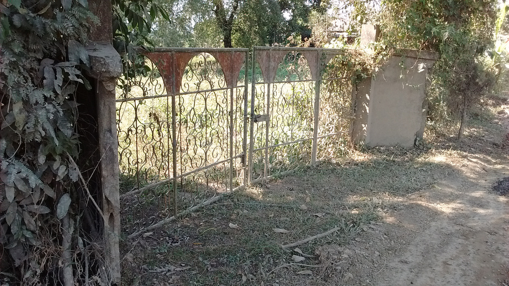 Clôture oubliée / Forgotten fence
