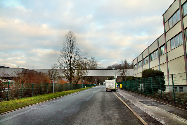 Deilbachtal (Essen-Kupferdreh) / 10.01.2021