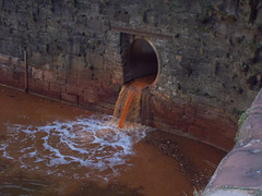 whn[25] - Tomato soup ?  [HWW]