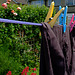 Washing Line