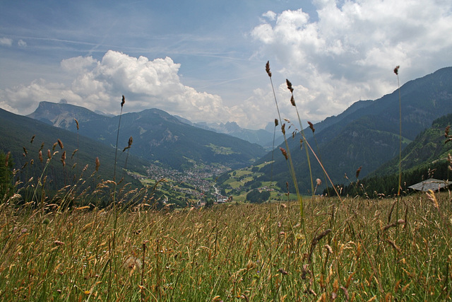 Meadows above Ortisei St Ulrich