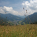 Meadows above Ortisei St Ulrich