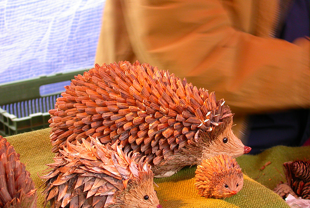 Foire aux oignons, Berne, 2005