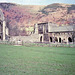 Remains of Valle Crucis Abbey. (Scan from February 1990)