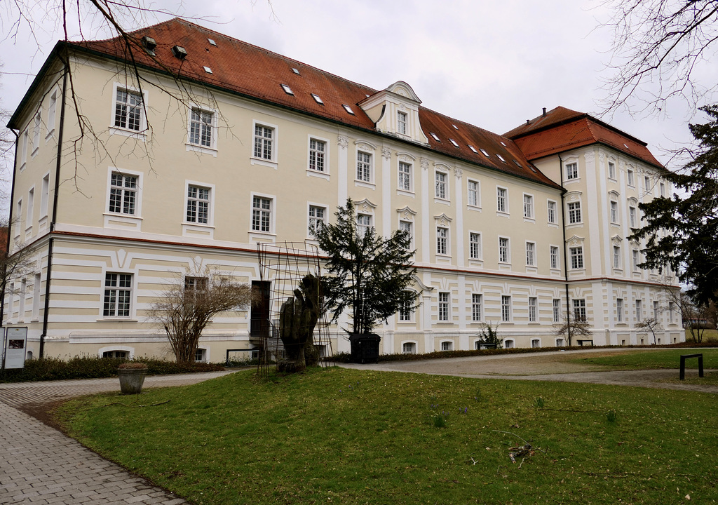 P1003052 (2)