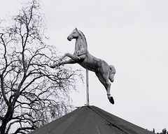 Paris 11
