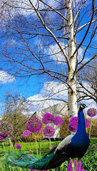 the Sun sends its rays on the Blue vs. Green Country life of Vrebos my hometown the Sun sends its rays on the Blue vs. Green Country life of Vrebos my hometown