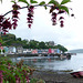 Tobermory