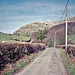 Lane leading northwards to Creigiau Eglwyseg with Garth Wood to the right. (Scan from February 1990)