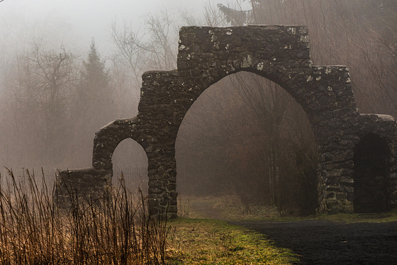 Rhön - Schwarzes Moor -  20190101