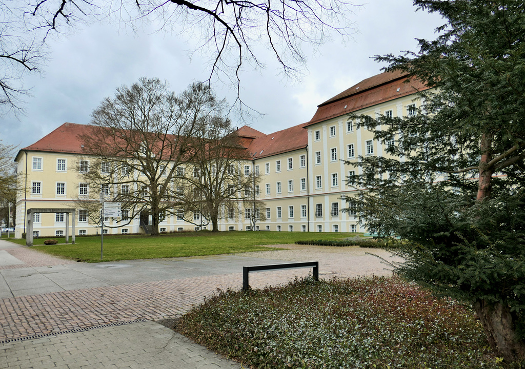 P1003078 (1)
