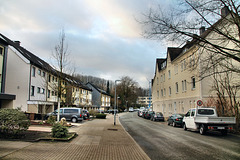 Deilbachtal (Essen-Kupferdreh) / 10.01.2021