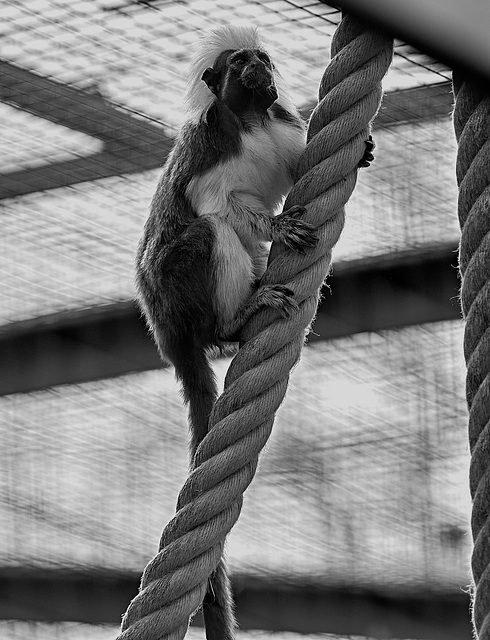 Tierpark Straubing