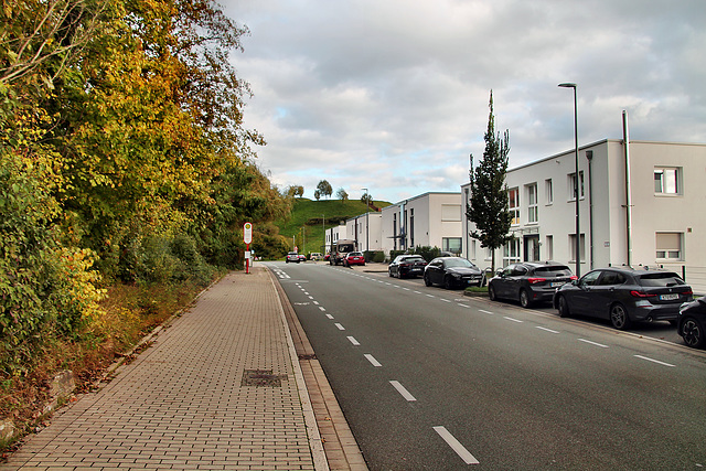 Meinbergstraße (Dortmund-Hörde) / 21.10.2023