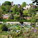 Allotments, Lower Mill Street