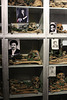 Red Terror Martyrs Memorial Museum, Addis Ababa