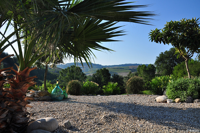 Garten des Hauses "Sotto il sole delle Marche" (© Buelipix)