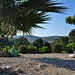 Garten des Hauses "Sotto il sole delle Marche" (© Buelipix)