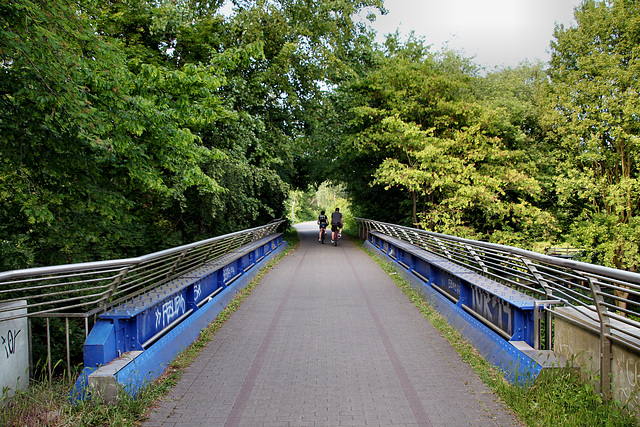 Brücke der ehem. Kray-Wanner-Bahn über der Bergmannstraße (Gelsenkirchen-Ückendorf) / 21.05.2018