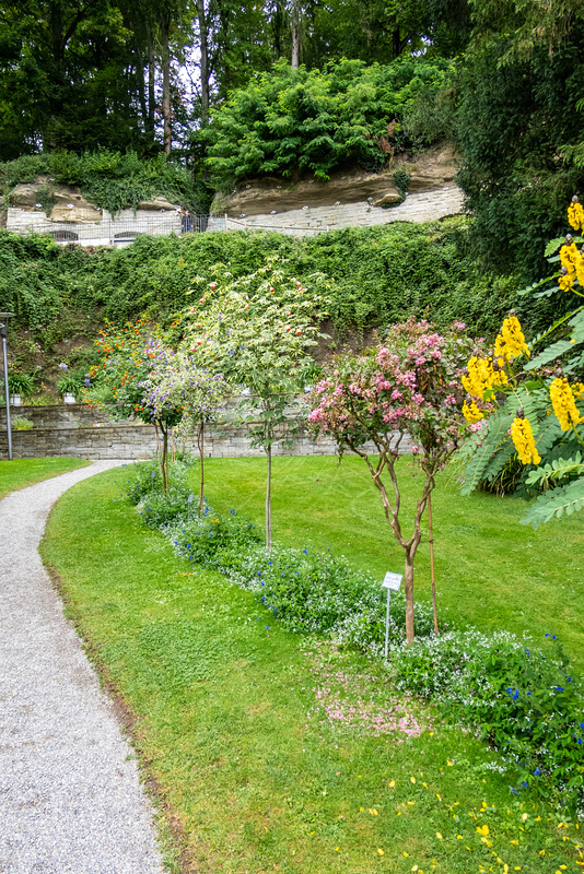 Tettnang-Überlingen-0204