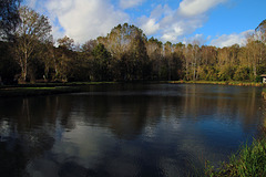 Les étangs de Boissy-la-Rivière ( 91 )