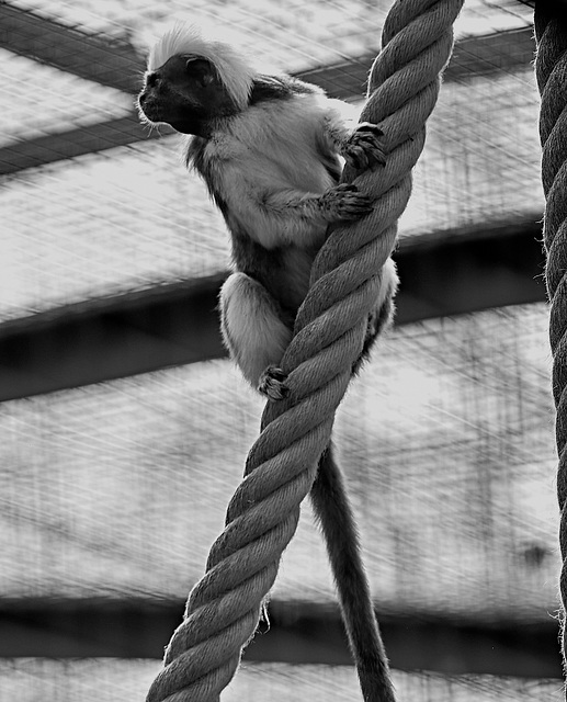 Tierpark Straubing