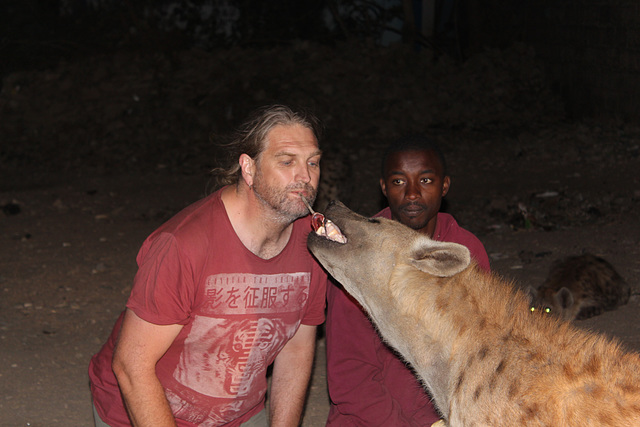 Hyena Feeding, Harar