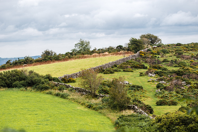 Dartmoor - 20150831