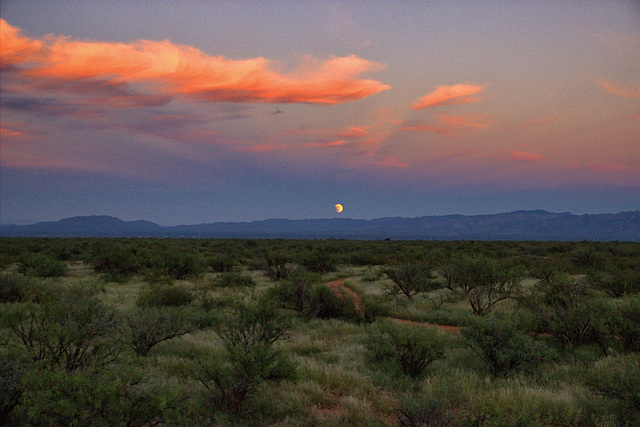 Supermoon Lunar Eclipse